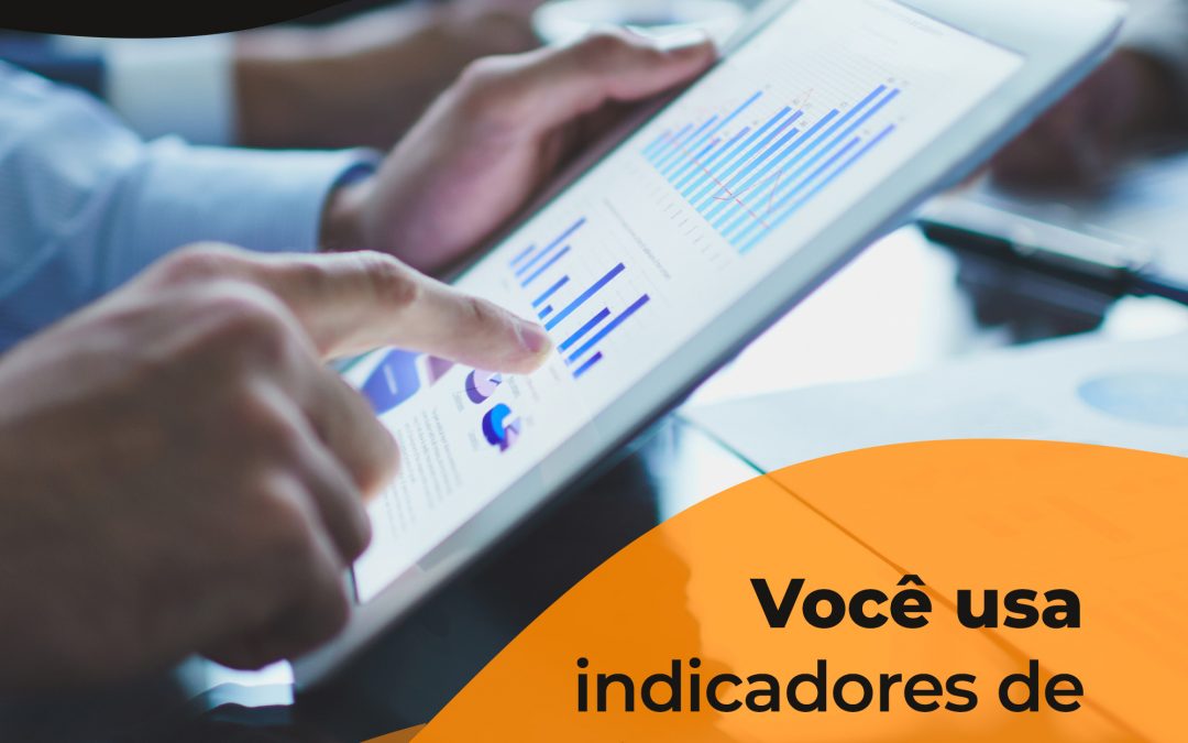 Você utiliza indicadores de performance em sua gestão?
